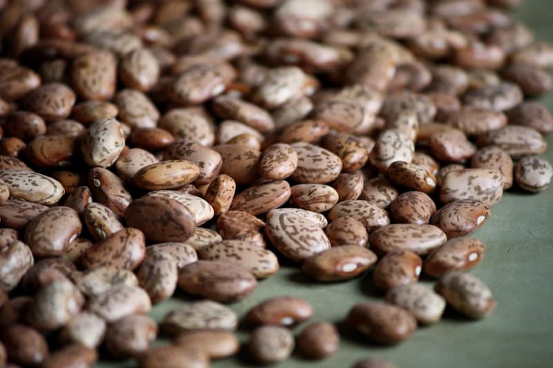 خرید و قیمت لوبیا چیتی شکسته + فروش صادراتی